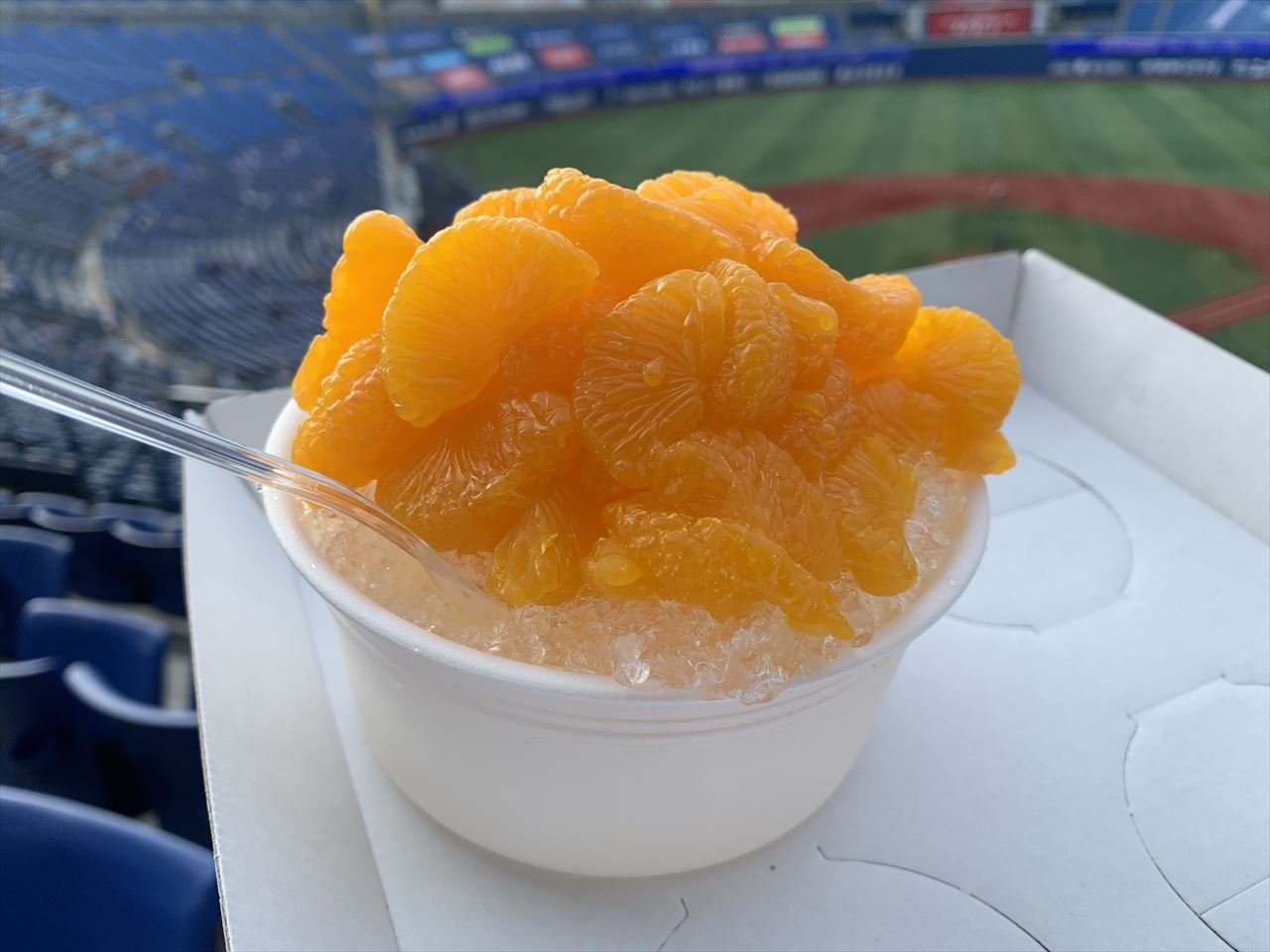 🏟️ 요코하마 스타디움 이미지 4